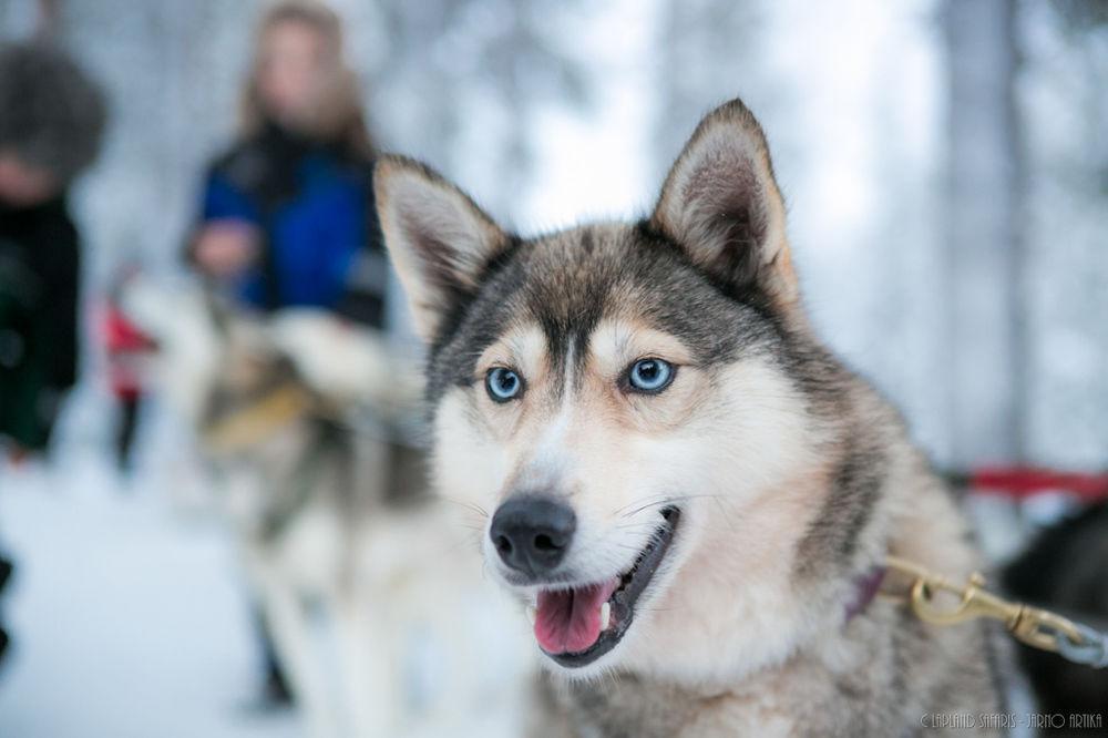 Lapland Hotels Snowvillage Yllasjarvi Luaran gambar