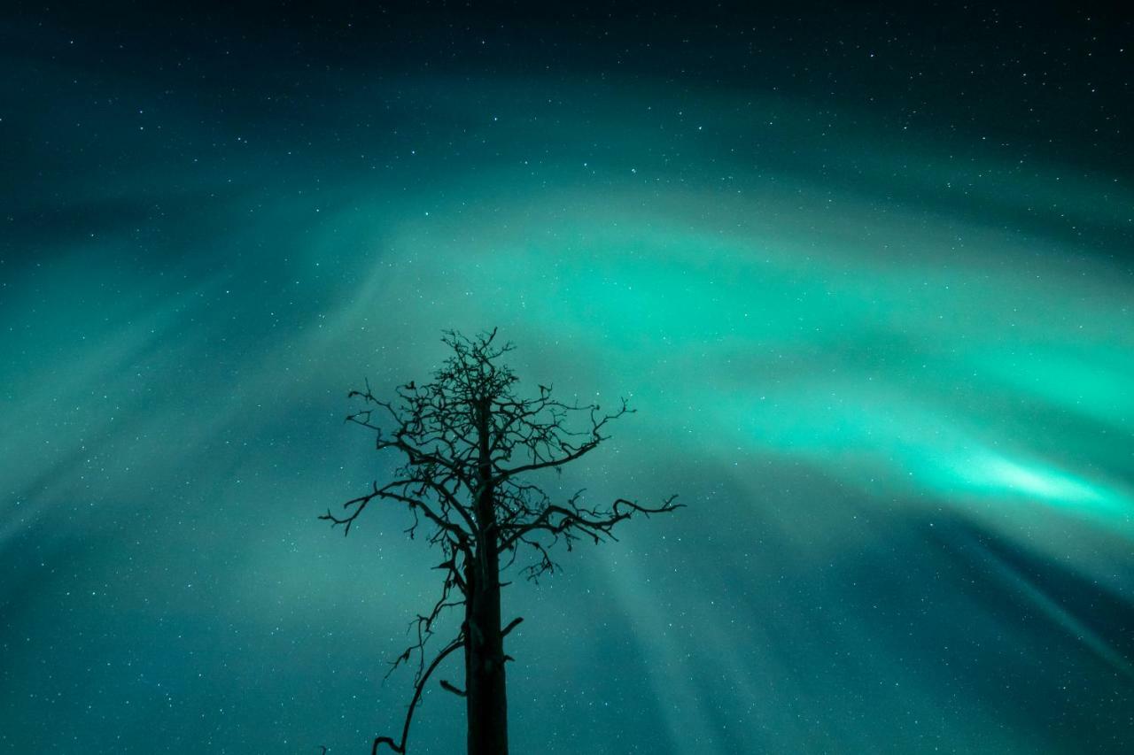 Lapland Hotels Snowvillage Yllasjarvi Luaran gambar